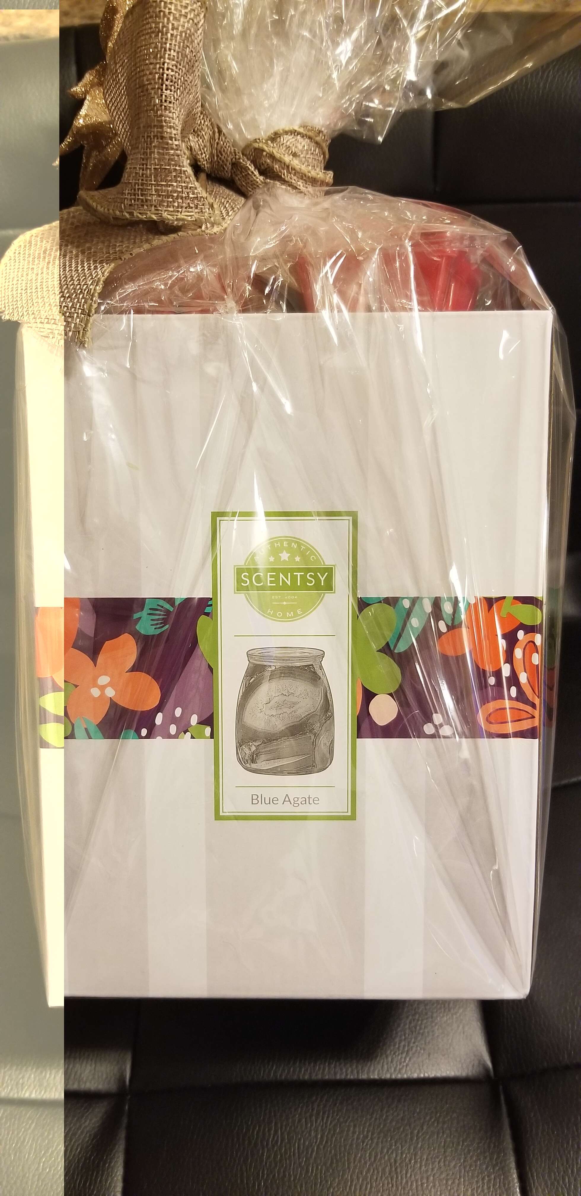 Scentsy Gift Pack